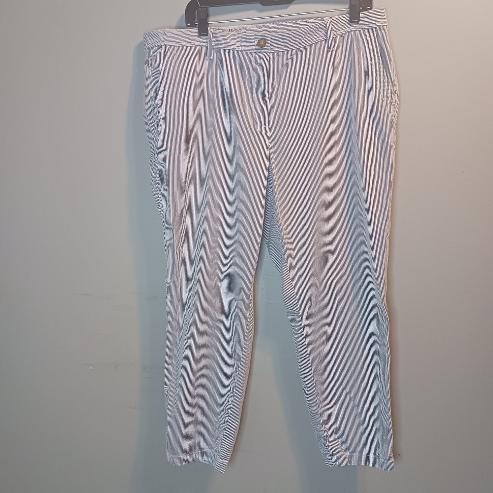 Pinstripe Ankle pants 16p